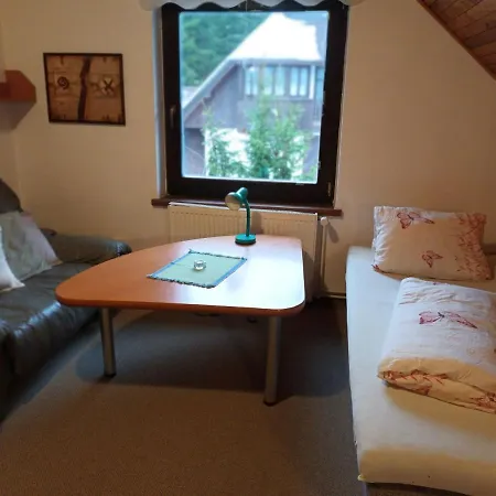 547-1 By Interhome Apartment Harrachov